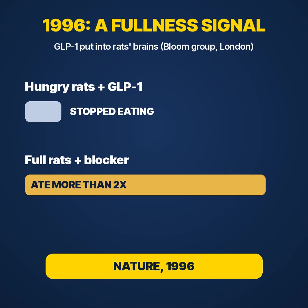 Explainer: GLP-1 in the brain stopped hungry rats eating; blocking it made full rats eat more
